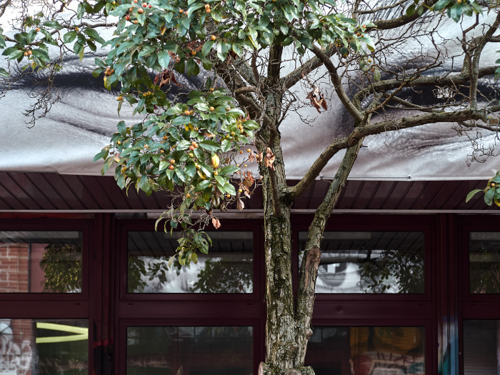 11-Pc14-2021-10-11 15.49.23